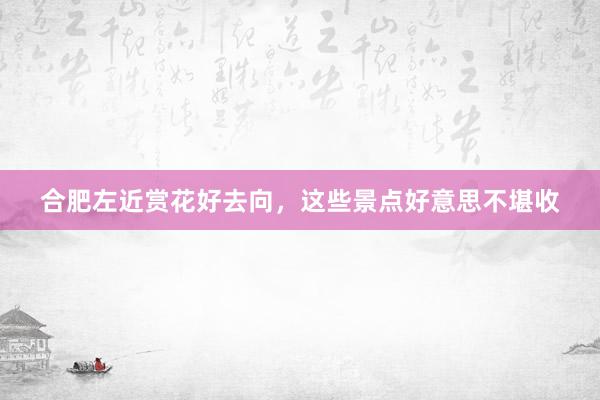 合肥左近赏花好去向，这些景点好意思不堪收